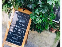 -No Cat 手碟
