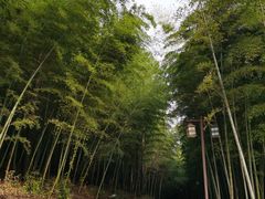 -苏州环秀晓筑养生度假村