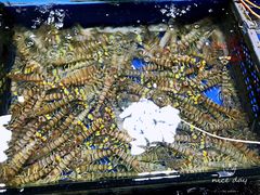 -无锡天鹏食品城