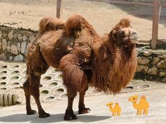 -栾川竹海野生动物园