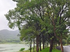 -东钱湖旅游度假区