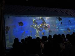 -梦幻海洋王国(吾悦广场张家港店)