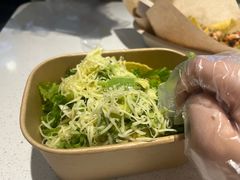 -油梨树 AVOCADO TREE(亮马桥店)