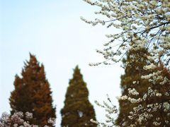 -国家植物园南园