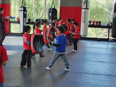-极斗-IKMF马伽术·格斗运动学院(东直门店)