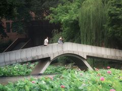 -西南交通大学(九里校区)