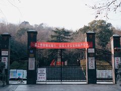 -伯先公园