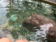 -天目湖涵田半山温泉