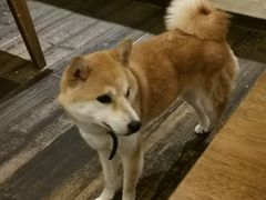 -三目仓咖啡(贤南路店)