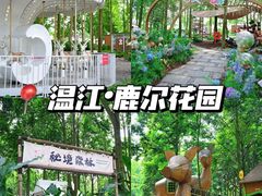 -老鼎万春卤菜(五代传承创始老店)