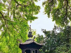 -青岛崂山太清宫