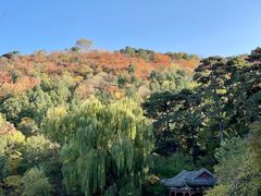 -香山公园