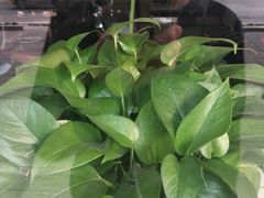 -九佰碗家常菜(华威桥店)