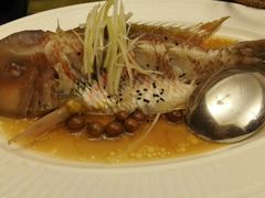 -圆苑(上海广场店)