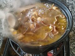 -蘑统田下·野生菌火锅