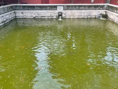 -大觉寺-停车场