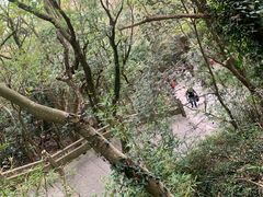 -普陀山风景区-佛顶山