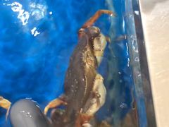 -盒马鲜生(189购物中心店)