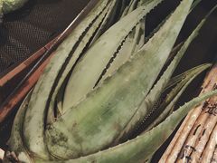 -果蔬好生活超市(乐堤港店)