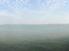 -大湾区中央湿地公园