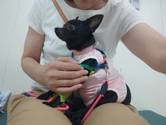 -美联众合动物医院·24h京西诊疗中心