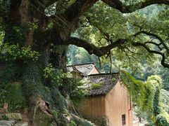 -杨家堂村