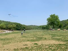 -羊山湖公园