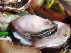 竹篮生蚝-全渔村小海鲜