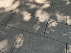 -宝通禅寺