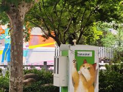 -曹杨影城(曹杨店)