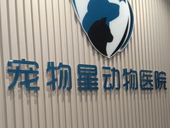 -宠物星动物医院·眼科·异宠·猫科(江南大道总院)