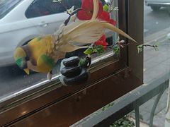 -花鸟鱼私家小厨(文殊院店)