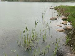 -渤公岛生态公园