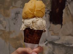 雪葩杏子百里香叶-Luneurs(幸福里店)