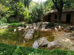 -昆明动物园