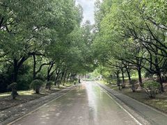 -南京市江宁方山