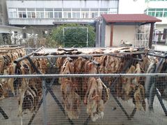 -冯氏吴山贡鹅(206国道店)