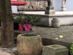 -宁波溪口古镇-民国大杂院