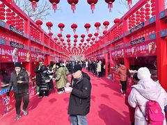 -北京凤凰岭