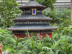 -南宫五洲植物乐园