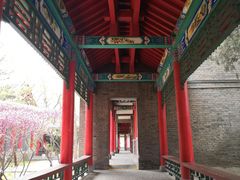 -碑林公园