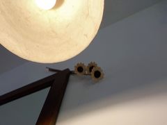 -AFS Cafe & Canteen(闽江二路店)