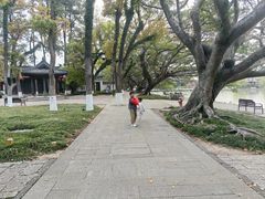 -江心屿景区