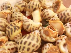 花螺-鲜入围煮花胶鸡海鲜火锅