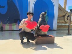 -秦皇岛乐岛海洋王国