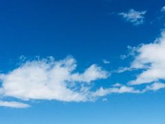 -清真益鑫羊肉手抓馆(南大街店)