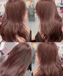 -环球蝶上美业连锁
