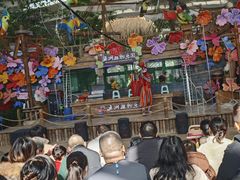 -南宫五洲植物乐园