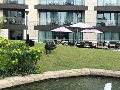 -行者书屋大堂吧 ·下午茶(南京圣和府邸酒店)