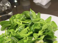-福来齐·鲁菜海鲜·渔家菜(朝阳街分店)